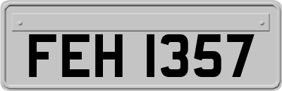 FEH1357