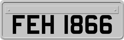 FEH1866