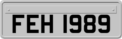 FEH1989