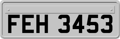 FEH3453