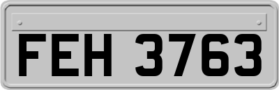 FEH3763