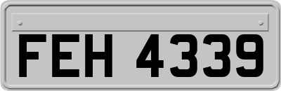 FEH4339