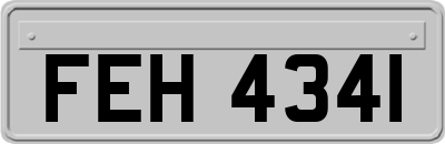 FEH4341