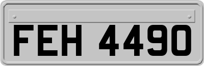 FEH4490