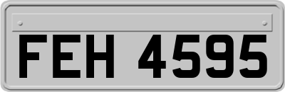 FEH4595