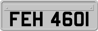 FEH4601