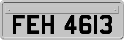FEH4613