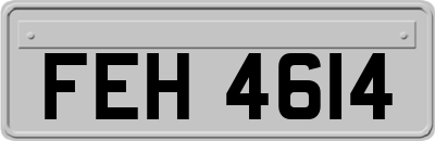 FEH4614