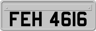 FEH4616