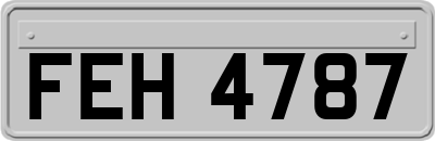 FEH4787