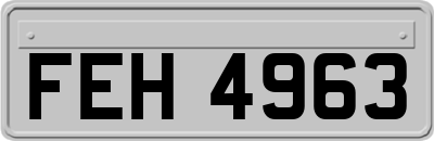 FEH4963