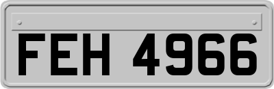 FEH4966