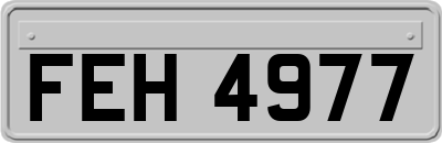 FEH4977
