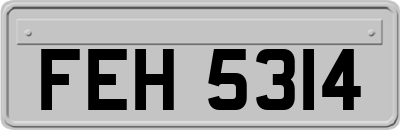 FEH5314