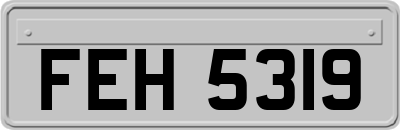 FEH5319