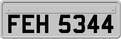 FEH5344