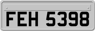 FEH5398
