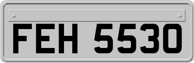 FEH5530