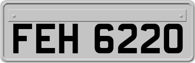 FEH6220