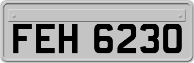 FEH6230
