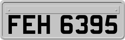 FEH6395
