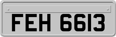 FEH6613