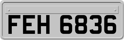 FEH6836
