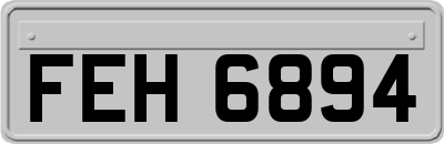 FEH6894