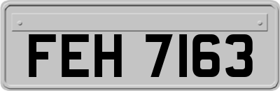 FEH7163