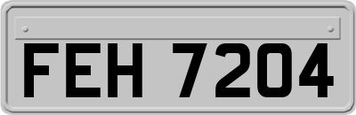 FEH7204