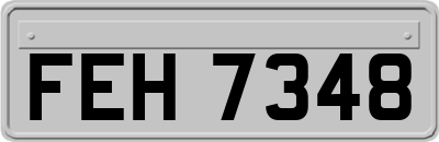 FEH7348