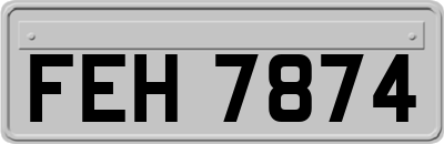 FEH7874