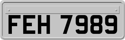 FEH7989