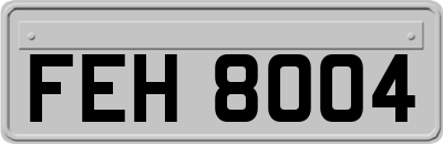 FEH8004