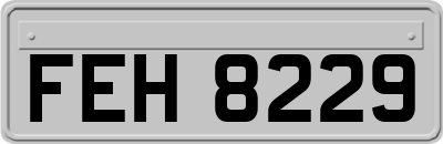 FEH8229