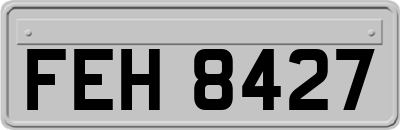 FEH8427