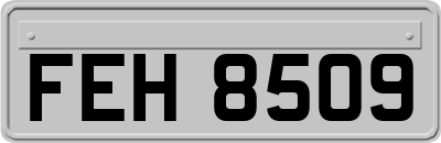 FEH8509