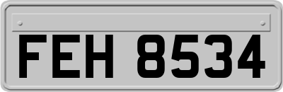 FEH8534