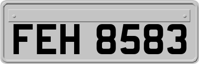 FEH8583