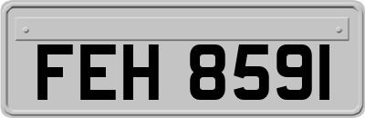 FEH8591