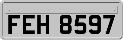 FEH8597