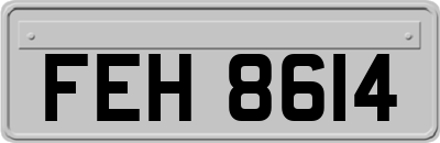 FEH8614