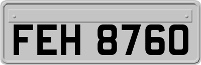 FEH8760