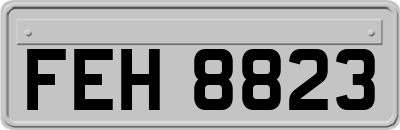 FEH8823