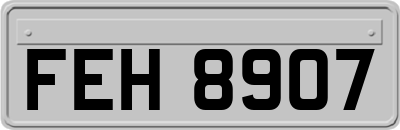 FEH8907