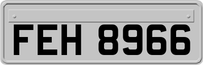 FEH8966