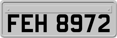 FEH8972