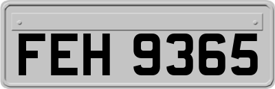 FEH9365