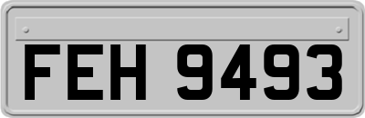 FEH9493