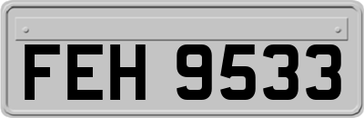 FEH9533